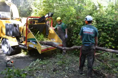 tree services Garnet